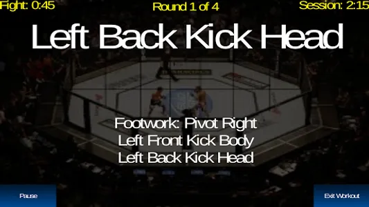 UFC Heavy Bag / Shadow Boxing  screenshot 18