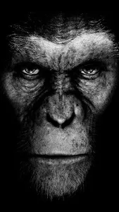 Planet of the Apes Wallpapers screenshot 17