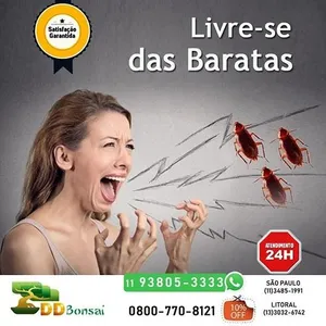 DDBonsai Dedetizadora e Desent screenshot 1