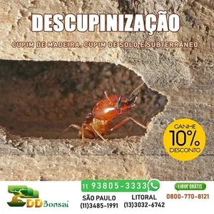 DDBonsai Dedetizadora e Desent screenshot 2
