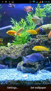 Aquarium Live Wallpaper screenshot 4