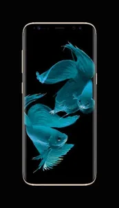 Betta Fish Live Wallpapers screenshot 2