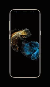 Betta Fish Live Wallpapers screenshot 6