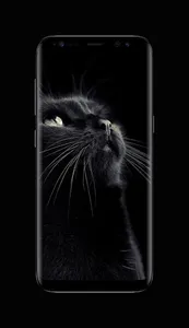 Black Wallpapers Offline screenshot 4