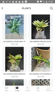 3B's Flowers screenshot 7