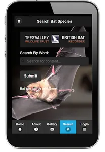 Bats Of Teeside screenshot 0