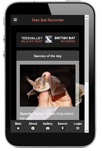 Bats Of Teeside screenshot 2