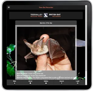 Bats Of Teeside screenshot 4