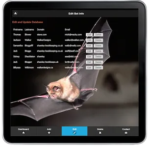 Bats Of Teeside screenshot 6
