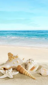 Beach wallpaper. screenshot 18
