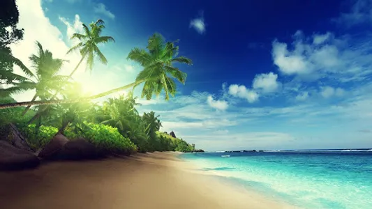 Beach Live Wallpaper screenshot 5