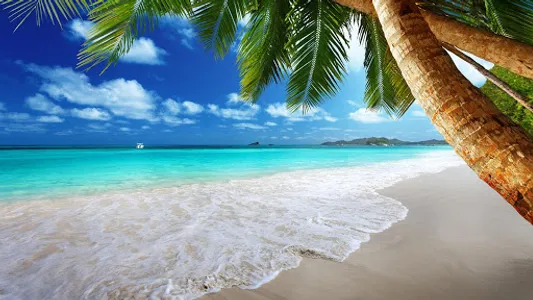 Beach Live Wallpaper screenshot 6