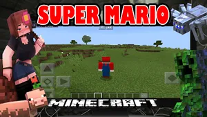 Mario Minecraft Game Mod Skin screenshot 1