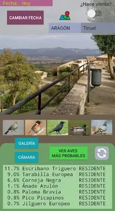 Bird Seeker Spain screenshot 5