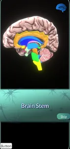 Brain Space screenshot 0