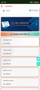 Blue Max Promote Your Business screenshot 22