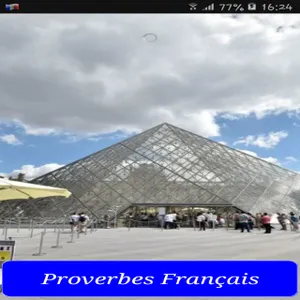 Proverbes Français screenshot 5