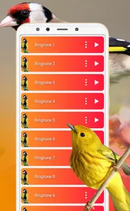 Bird Sounds, Calls & Ringtones screenshot 10