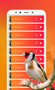 Bird Sounds, Calls & Ringtones screenshot 4