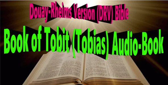 Book of Tobit Audio Bible screenshot 4