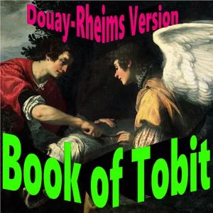 Book of Tobit Audio Bible screenshot 5