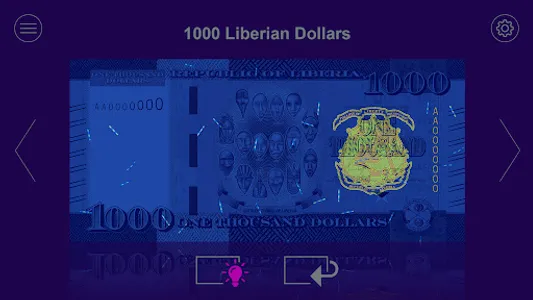 LBR Currency screenshot 5