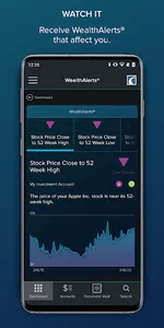 Cornerstone Advisors screenshot 3