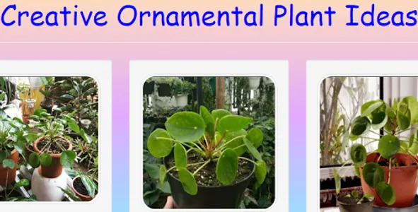 Creative Ornamental Plant Idea screenshot 0
