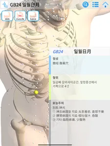 AcupointDG screenshot 2