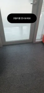 삼척시 공공미술 캐릭터 AR screenshot 9