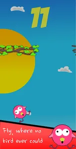 Birbs screenshot 4