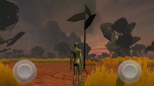 Quest For the Night Parrot screenshot 12