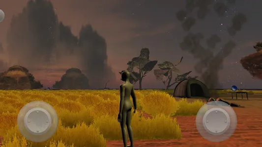 Quest For the Night Parrot screenshot 8