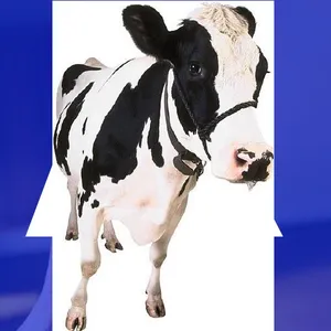 الواقع المعزز screenshot 1