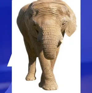 الواقع المعزز screenshot 13