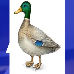 الواقع المعزز screenshot 2