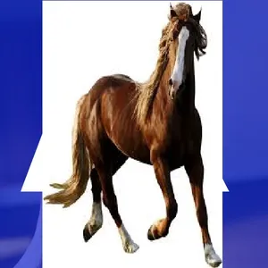 الواقع المعزز screenshot 21