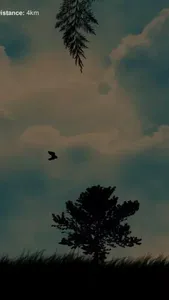 Bird Rush screenshot 4