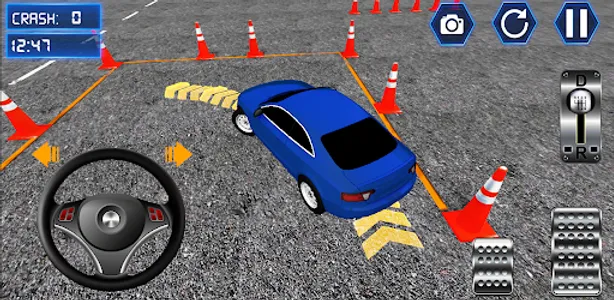 DVM VIRGINIA DRIVING TEST screenshot 2