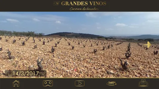 GRANDES VINOS screenshot 4