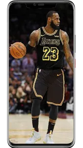 LeBron James Wallpapers screenshot 11