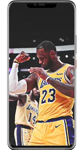 LeBron James Wallpapers screenshot 5