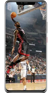LeBron James Wallpapers screenshot 8