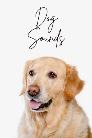Dog Sounds - Dog Wallpapers screenshot 5