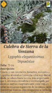 Serpientes Bonaerenses screenshot 1