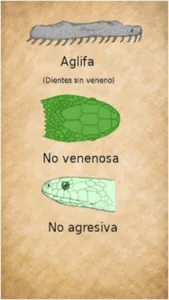 Serpientes Bonaerenses screenshot 4
