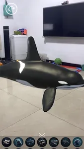 AR Aquarium screenshot 3
