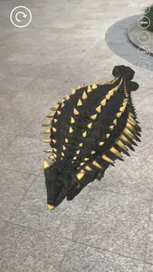 AR Dinosaur screenshot 12