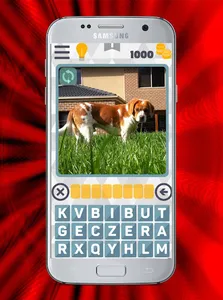 Animals Pictures Quiz Dog, Cat screenshot 2