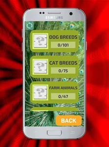 Animals Pictures Quiz Dog, Cat screenshot 5